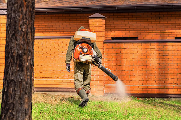 Bed Bug Clearance Verification and Documentation in Camp Hill